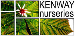 Kenway Nurseries